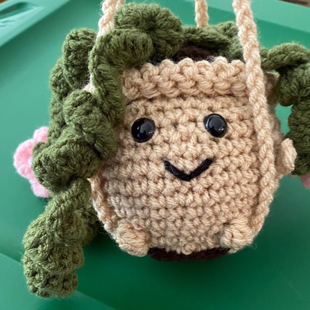Handmade Crocheted Hanging Plant